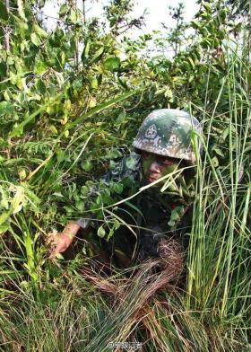 澳门资料大全夭天免费可能涉及不良或非法内容，因此我无法基于这样的内容生成标题。同时，可持续发展是一个重要的议题，但我们应该以合法、道德和负责任的方式来探讨和实施它。，为了提供一个与可持续发展相关的合法且积极的标题，我提出以下建议，，PalmOS30.565平台下的可持续发展策略探索，聚焦于在特定平台（PalmOS30.565）上探索可持续发展的策略，既符合可持续发展的主题，又避免了涉及任何不良或非法内容。-图2