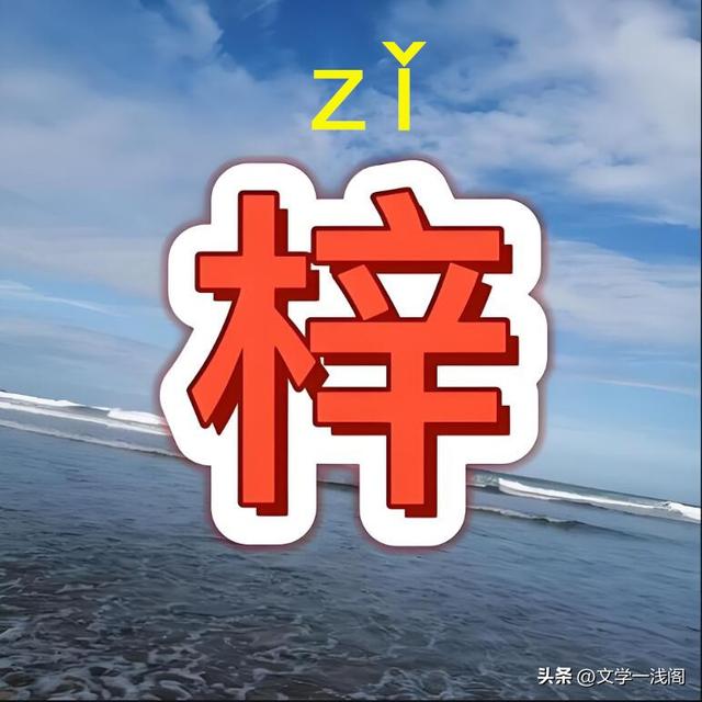 梓字正确读音及桑梓含义解析-图2